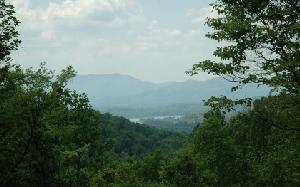 L 10 LOFTY VIEW