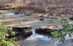 L159A HARRIS CREEK DRIVE