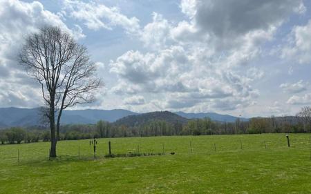 Stewart Road, Andrews NC 28901