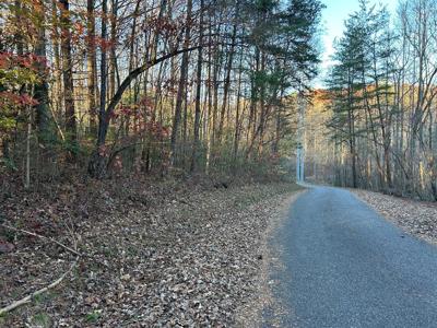 Lot 11 Tombstone Drive