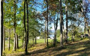 LOT 2 DEWEY RIDGE