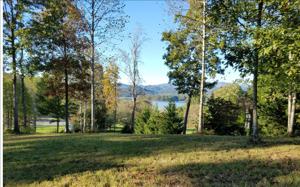 LOT 4 DEWEY RIDGE