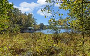 193 BEAVER COVE ROAD