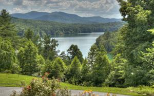 369 LOWER STAR CREEK RD