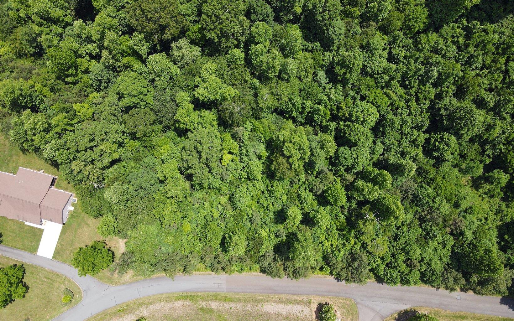 Image 4: Additional View