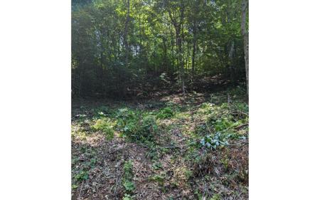 Lot 15 Primrose Lane