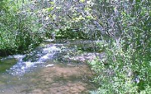 FERN HOLLOW LANE