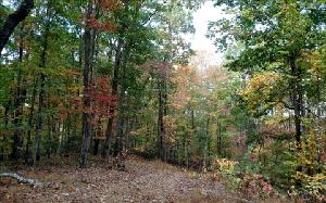 L-53 STAR CREEK DR