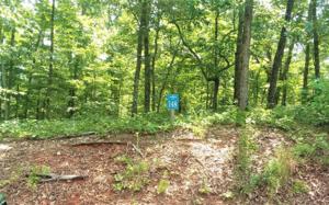 LT148 HARRIS CREEK DR