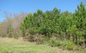 #9 CEDAR RIDGE ROAD
