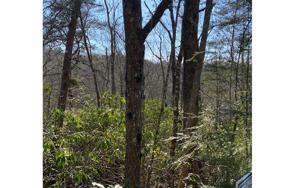 LT 43 YELLOWBIRD TRAIL