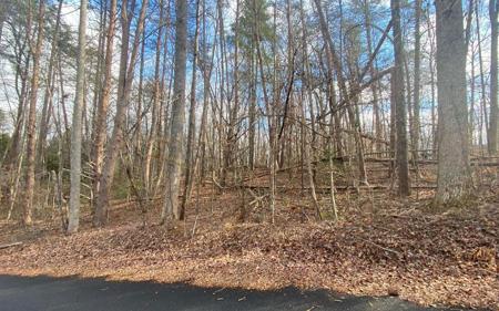 #38 Hy Top Road, Young Harris GA 30582