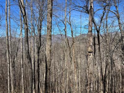 Lot 15 Bear Trail,Phase 2