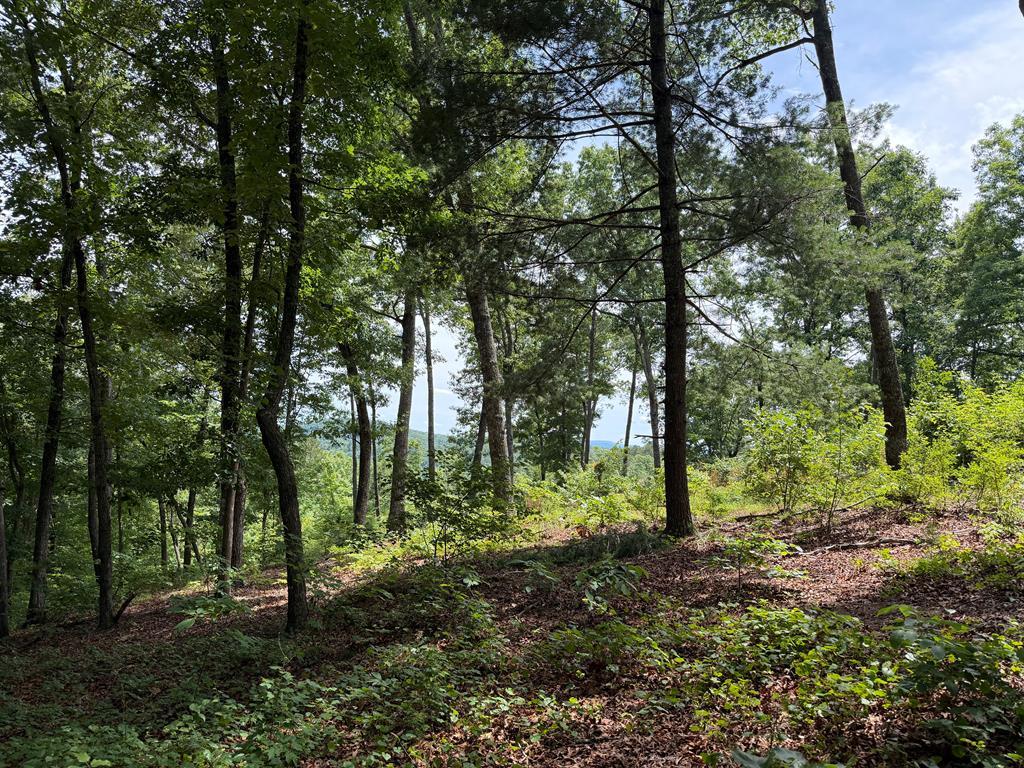 Image 1: Main View