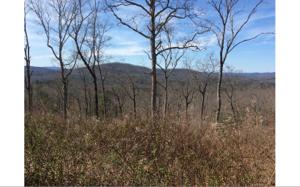 LT 38 HIDEAWAY HILLS