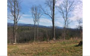 LT 53 HIDEAWAY HILLS