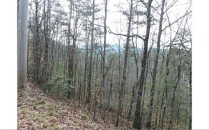 LT 55 HIDEAWAY HILLS