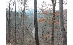 LT 59 HIDEAWAY HILLS
