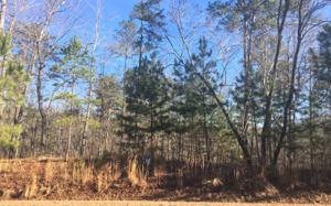 LT166 HARRIS CREEK