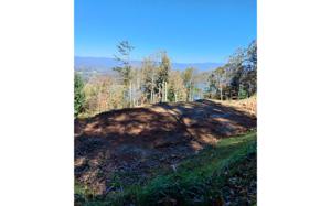 LOT 4 RAMEY MOUNTAIN