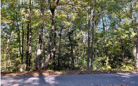 Big Rock Trail