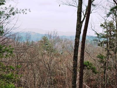 Lot 48 Wayah Ridge