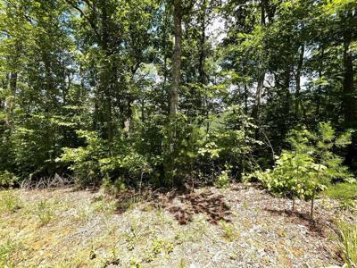 Lot 17 Big Cove Drive