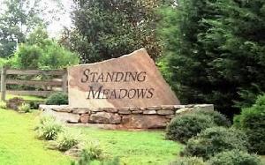 TR 1 STANDING MEADOWS