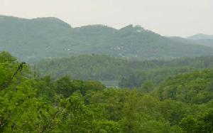 #26 HONEY BEE RIDGE