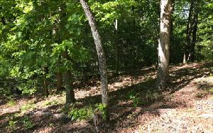 LOT 2 WOODS OF HUNTER