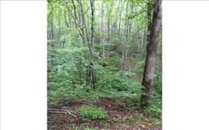 355 SLEEPY HOLLOW DR