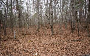 LOT 3 STAR CREEK EST