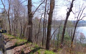 LT11B BEECH COVE