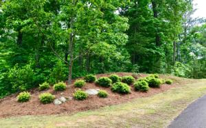 LOT 8 HARRIS CREEK DRIVE
