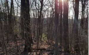 LOT 6 NELSON RIDGE