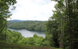 47 MOUNTAIN LAKE DR