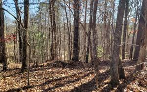 CAMPBELL CAMP CIRCLE
