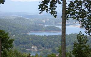 LT1 IVY MOUNTAIN