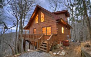 917 RIPSHIN MOUNTAIN RD