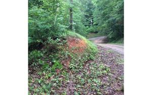 805 WHISPERING PINE TR