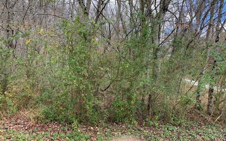 S River Oaks Drive, Hayesville NC 28904