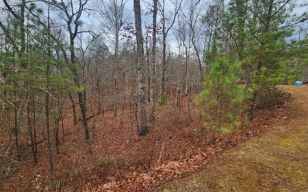 Lot 9 Harris Creek Drive