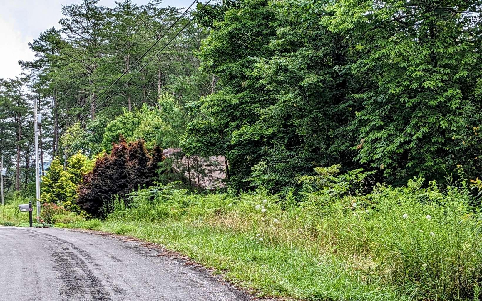 Image 3: Additional View