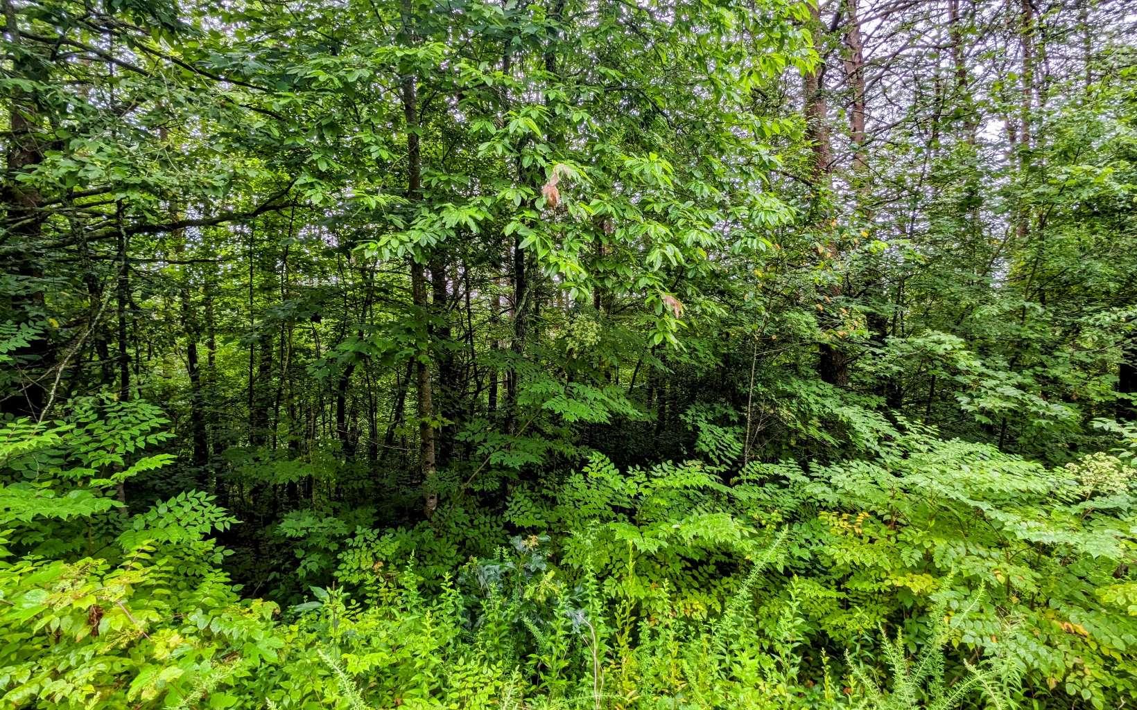 Image 4: Additional View