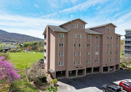 3112 Allison Court