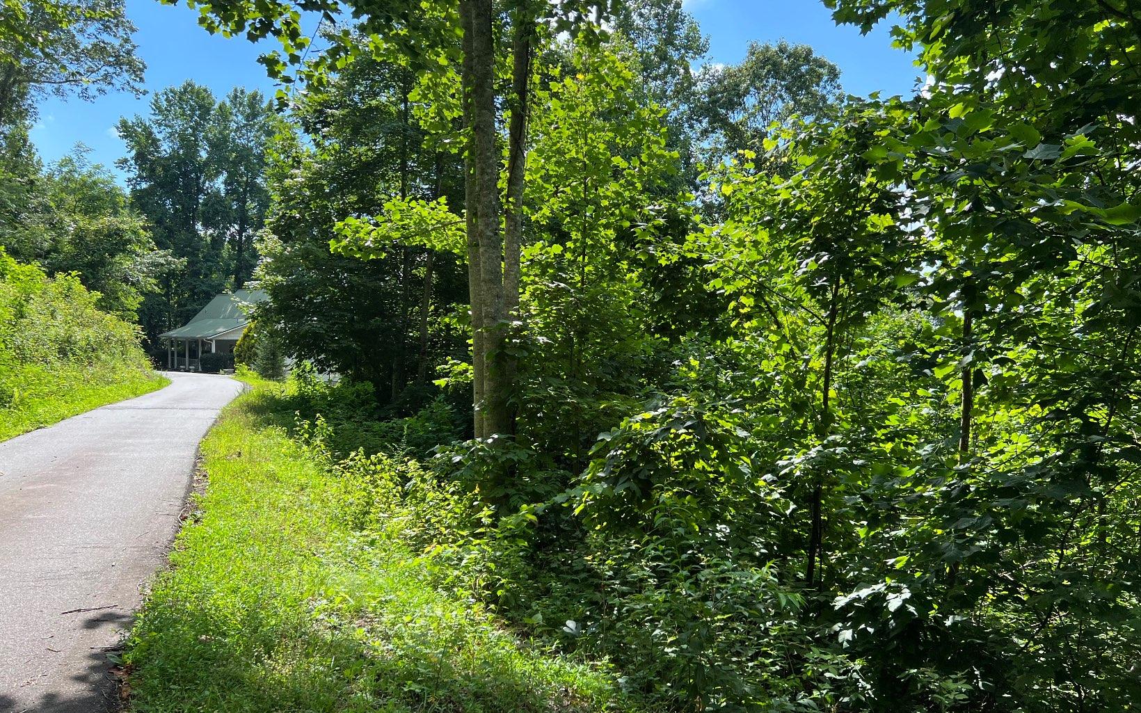 Image 2: Additional View