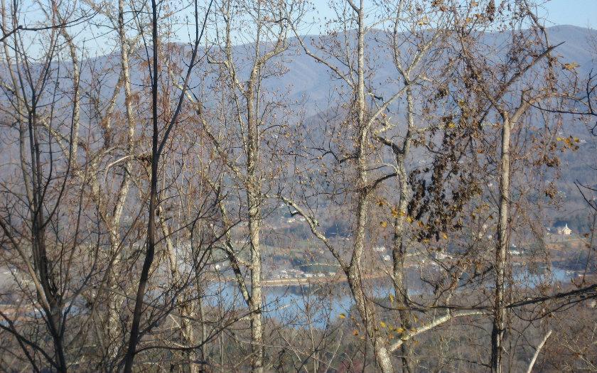Image 2: Additional View