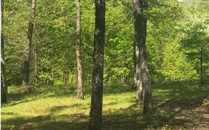 L 10 DRAKE RIDGE DRIVE