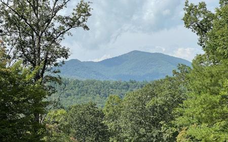 Lot 9 Wolfpen Gap Sub