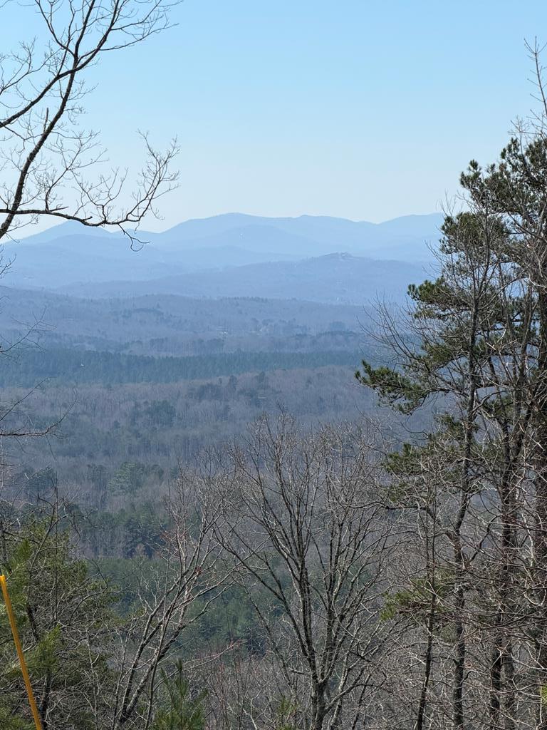 Image 1: Main View